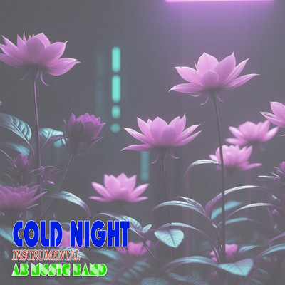 Cold Night (Instrumental)/AB Music Band