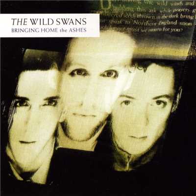 Whirlpool Heart/The Wild Swans