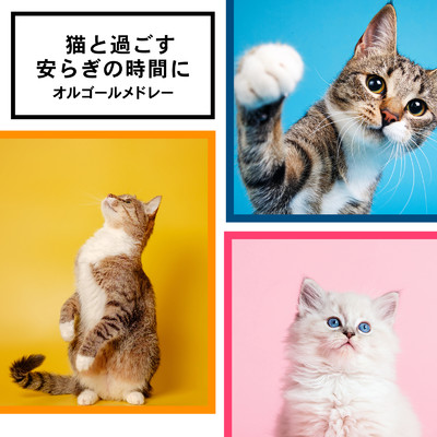 アルバム/猫と過ごす安らぎの時間に オルゴールメドレー/I LOVE BGM LAB