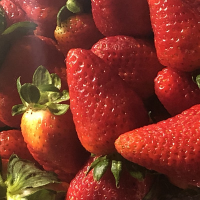 Strawberries/Damien Rose