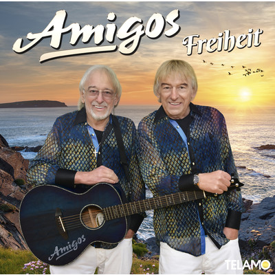 アルバム/Freiheit/Amigos