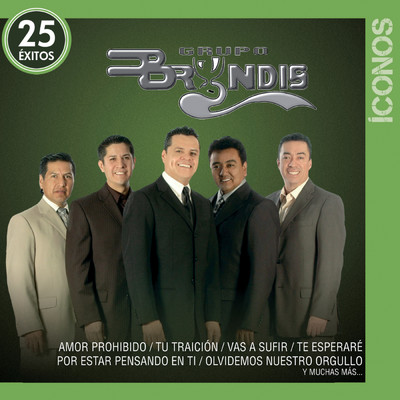 アルバム/Iconos 25 Exitos/Grupo Bryndis
