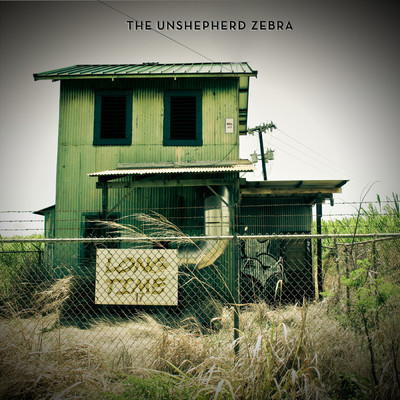 シングル/Long Time/The Unshepherd Zebra