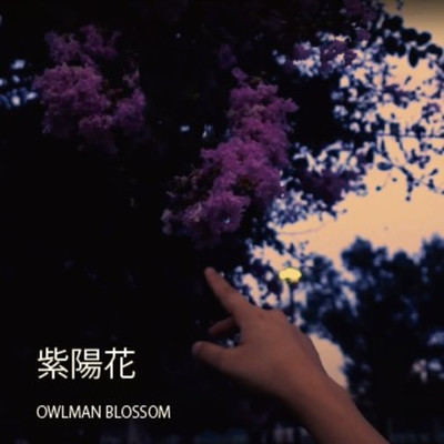 紫陽花/OWLMANBLOSSOM