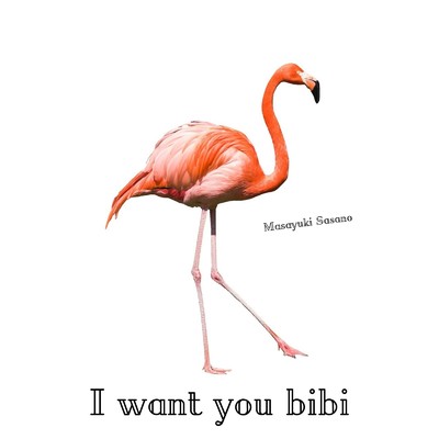 アルバム/I want you bibi/笹野雅之