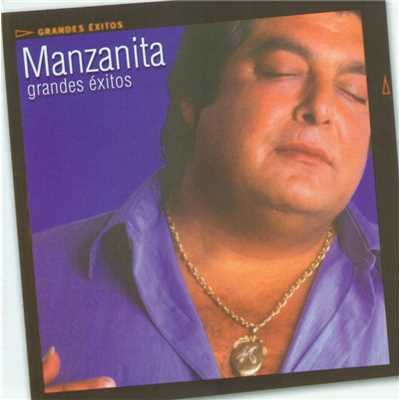 アルバム/Grandes Exitos/Manzanita