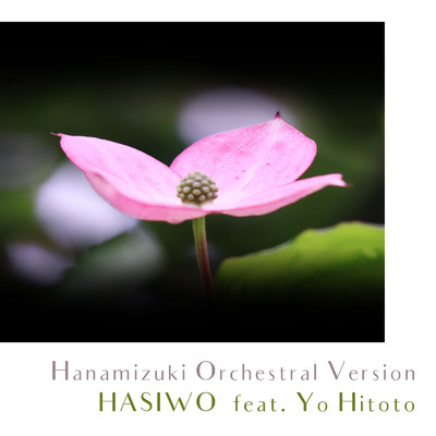 シングル/ハナミズキ (feat. 一青窈) [Cover] [ハナミズキクラシック Hanamizuki Orchestral Version]/HASIWO