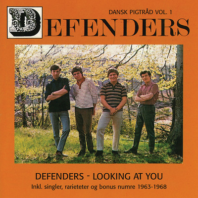 Defenders - Looking At You (1963-1968)/The Defenders