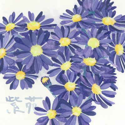 アルバム/紫苑/Layn