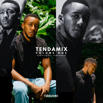 アルバム/Tendamix Volume One/Tendaness