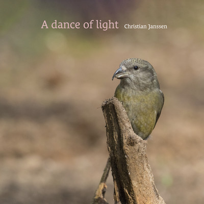A dance of light/Christian Janssen