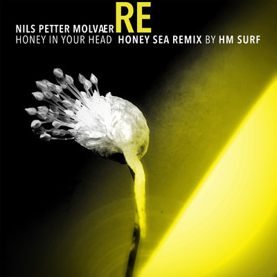 シングル/Honey in Your Head (Honey Sea Remix by HM Surf)/Nils Petter Molvaer