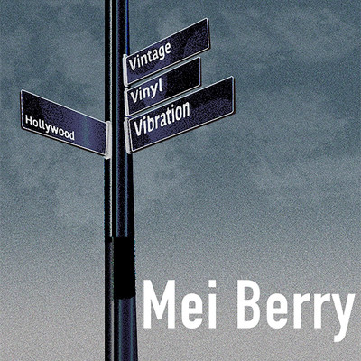 Vintage Vinyl Vibration/Mei Berry