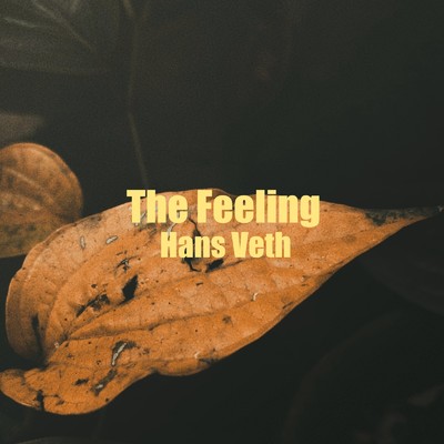 アルバム/The Feeling/Hans Veth