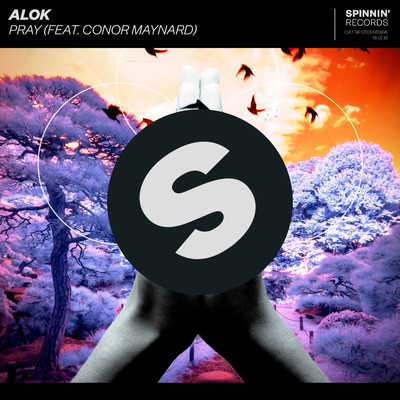 シングル/Pray (feat. Conor Maynard) [Extended Mix]/Alok