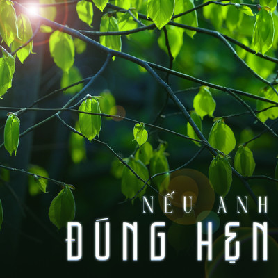 Neu Anh Dung Hen/Khanh Linh