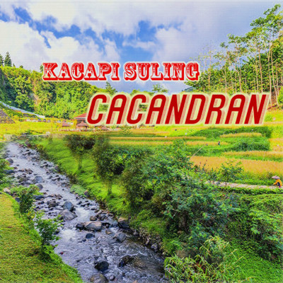 アルバム/Cacandran/Kacapi Suling