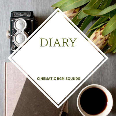 DIARY/Cinematic BGM Sounds