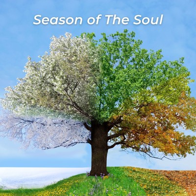 アルバム/Season of The Soul/Calming Chords