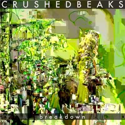 Breakdown/Crushed Beaks