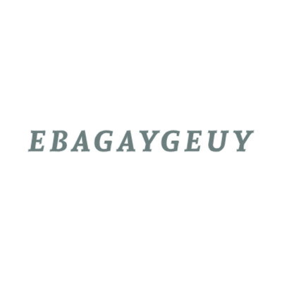 アルバム/ebagaygeuy/Farestnaison