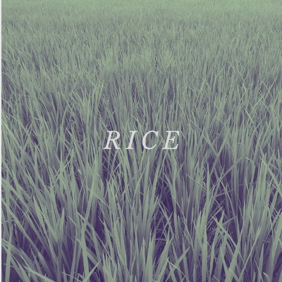 シングル/rice/MOMO