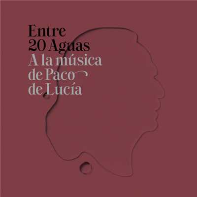 Entre 20 Aguas A La Musica De Paco De Lucia/Various Artists
