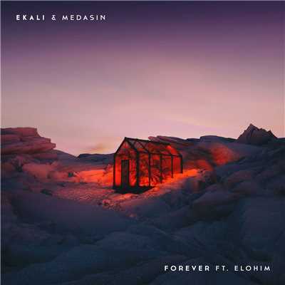 シングル/Forever (feat. Elohim)/Ekali & Medasin
