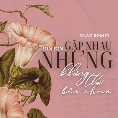シングル/Gap Nhau Nhung Khong The Ben Nhau (Blak Remix)/Bin Bin