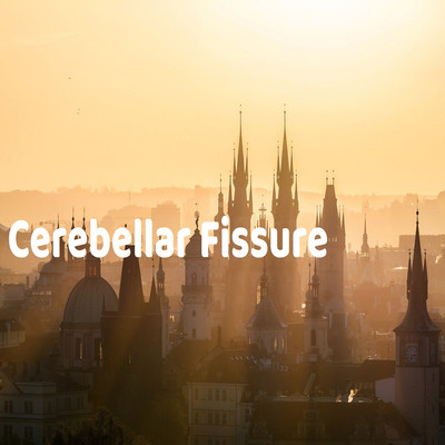 アルバム/Cerebellar Fissure/Babinski age