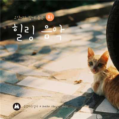 アルバム/Listening music with cat #1/A butler playing music