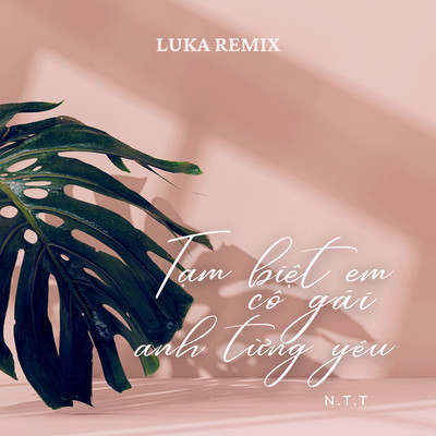 シングル/Tam Biet Em Co Gai Anh Tung Yeu (Luka Remix)/N.T.T