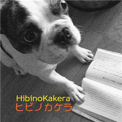 アルバム/ヒビノカケラ Vol.11/ヒビノカケラ