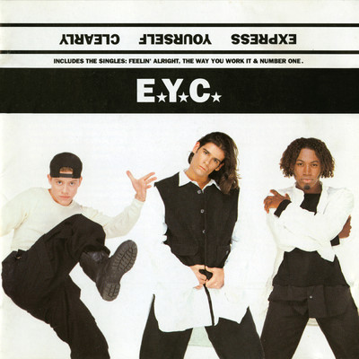 The Way You Work It (T.Reck Mix)/E.Y.C