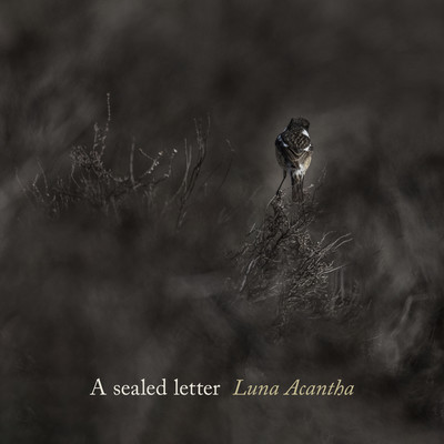 A sealed letter/Luna Acantha