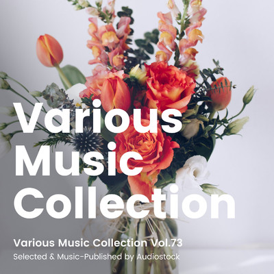 アルバム/Various Music Collection Vol.73 -Selected & Music-Published by Audiostock-/Various Artists