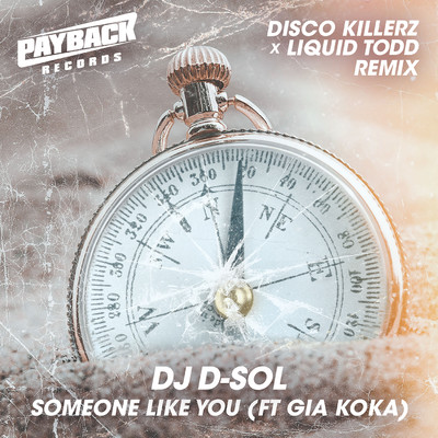 Someone Like You (feat. Gia Koka) [Disco Killerz & Liquid Todd Remix]/David Solomon