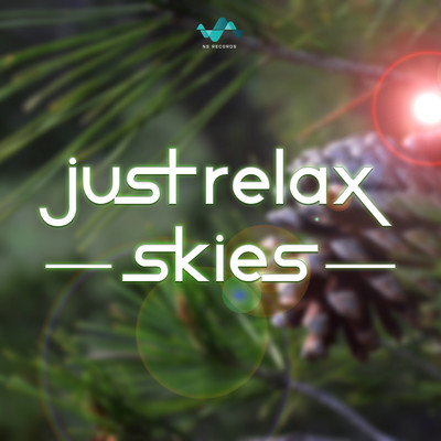 アルバム/Just Relax Skies/NS Records