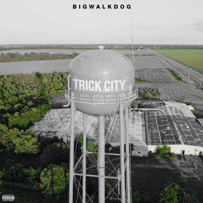 Trap Life (feat. Bankroll Freddie)/BigWalkDog