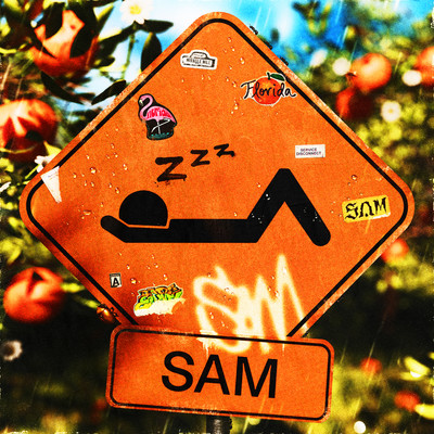 アルバム/SAM/Zzz.
