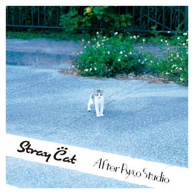 シングル/Stray cat/After Psycho Studio