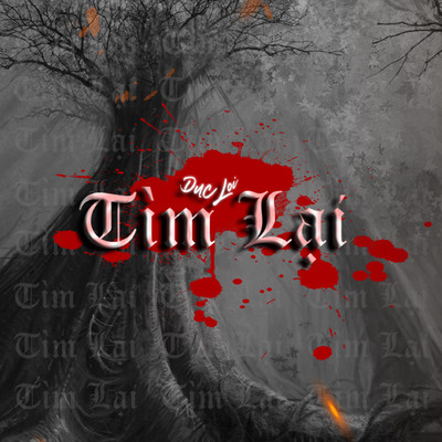 アルバム/Tim Lai/DucLoi