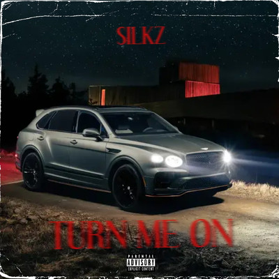 Turn Me On/Silkz