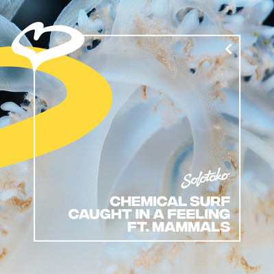 Caught In A Feeling (feat. Mammals)/Chemical Surf