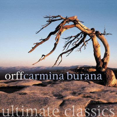 Carmina Burana: Ave formosissima/Ross Pople