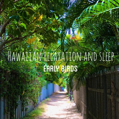 シングル/Relax with Early Bird HAWAII/Hawaiian Relaxation and Sleep
