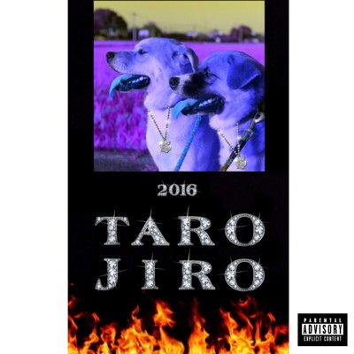 Taro Jiro/Fit aim