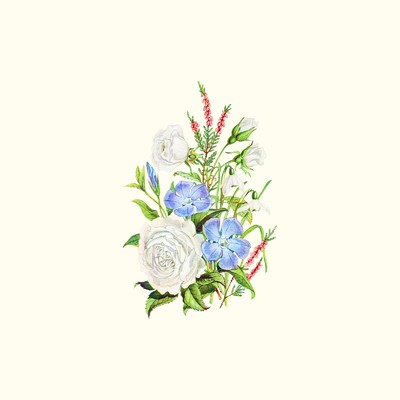 アルバム/祈りの練習/柿崎ユウタ