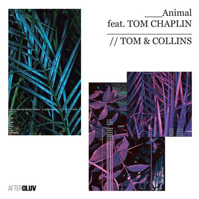 シングル/Animal (featuring Tom Chaplin)/Tom & Collins