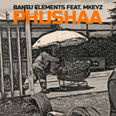 Pushaa (feat. Mkeyz)/Bantu Elements